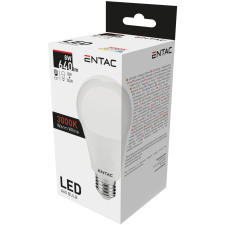 Entac LED Globe E27 8W WW 3000K izzó