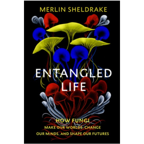 entangled life merlin sheldrake