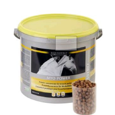 Equistro Myo power grl 2,3kg lófelszerelés