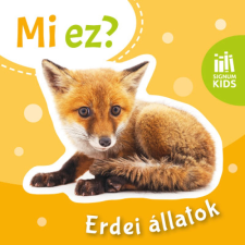 Erdei állatok - Mi ez? egyéb könyv