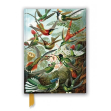 Ernst Haeckel: Hummingbirds (Foiled Journal) – Flame Tree Studio naptár, kalendárium