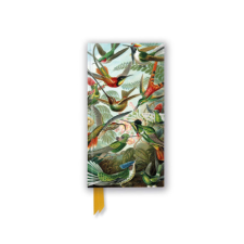  Ernst Haeckel: Hummingbirds (Foiled Slimline Journal) (Könyv) idegen nyelvű könyv