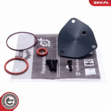 ESEN SKV Javítókészlet, vákuumszivattyú (fékrendszer) 18SKV806 autóalkatrész