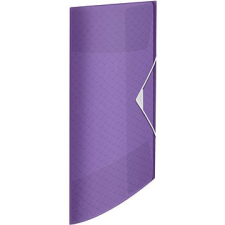 ESSELTE Colour Breeze A4 hajtogatós, gumival, átlátszó levendula mappa