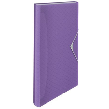 ESSELTE Harmonikamappa, A4, PP, 6 rekeszes, ESSELTE &quot;Colour&#039;Breeze&quot;, levendula mappa