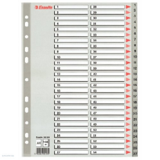 ESSELTE Regiszter ESSELTE A/4 1-54 műanyag Maxi naptár, kalendárium