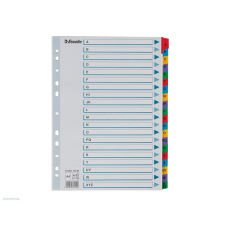 ESSELTE Regiszter ESSELTE A/4 A-Z karton MYLAR naptár, kalendárium