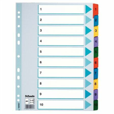 ESSELTE Regiszter, karton, A4, 1-10, ESSELTE Mylar (E100161) regiszter és tartozékai