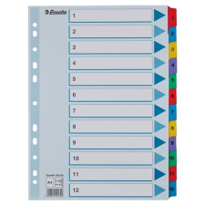 ESSELTE Regiszter, karton, A4, 1-12, ESSELTE "Mylar" regiszter és tartozékai