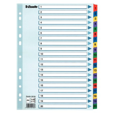 ESSELTE Regiszter, karton, A4, 1-20, ESSELTE "Mylar" regiszter és tartozékai
