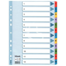 ESSELTE Regiszter, laminált karton, A4, 1-12, ESSELTE "Mylar" kreatív papír