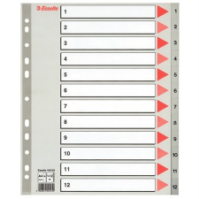 ESSELTE Regiszter, műanyag, A4 maxi, 1-12, ESSELTE, szürke irattartó