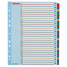 ESSELTE újraírható 1-31 felirattal rendelkező karton regiszter, A4, extra széles (100210) irattartó