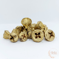  Eukaliptusz gomb - világos arany dekorációs kellék