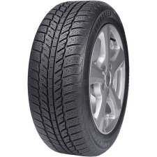 Evergreen EW62 96H XL TL 205/60 R16 96H Téli gumi téli gumiabroncs