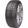 Evergreen EW66 93V XL TL 225/40 R19 93V Téli gumi