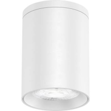 EVN AL54100102 EVN Lichttechnik LED-es mennyezeti lámpa 10 W Fehér (AL54100102) világítás
