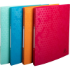 Exacompta Gyűrűs könyv Exacompta Maia A/4 2 gyűrűs 20 mm gerinccel PP vegyes színek
