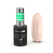 Excellent One Coat 009 11g lakk zselé