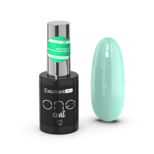 Excellent One Coat 012 11g lakk zselé
