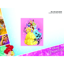 ExityKft. Disney Hercegnők polár takaró - 100 x 150 cm lakástextília