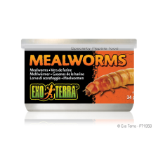 Exo Terra Canned Mealworms | Lisztkukac konzerv - 34 g hüllőeledel