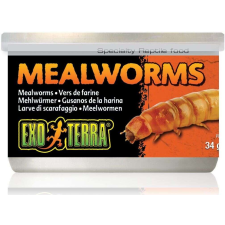 Exo Terra Mealworms – Puhára főzött lisztkukacok hüllőknek - 34g hüllőeledel
