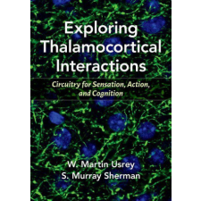 Exploring Thalamocortical Interactions idegen nyelvű könyv