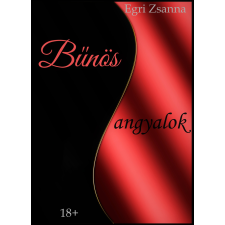 EZ-KÖNYV Bűnös angyalok regény
