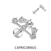  Ezüst Színű 316L Orvosi Acél Labret Piercing Bak Csillagjegy