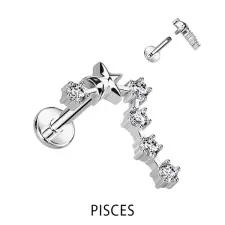  Ezüst Színű 316L Orvosi Acél Labret Piercing Halak Csillagjegy egyéb ékszer