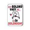  Fa hűtőmágnes, Egy bolond vagy, de az én bolondom