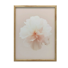  FA KERETES PLAKÁT PASTELLVIRÁG 50X70 CM grafika, keretezett kép