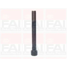 FAI AutoParts hengerfejcsavar-készlet B1046 autóalkatrész