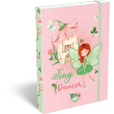 Fairy Ballerina füzetbox A/4, Dance füzetbox