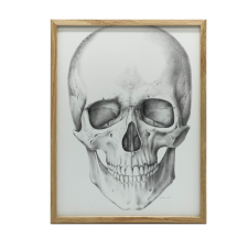 FALI PLAKÁT ARANY KERETBEN ANATÓMIKUS KOPONYA 40x50 CM grafika, keretezett kép