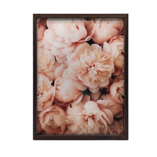 FALI PLAKÁT FEKETE KERETBEN SOFT BEAUTY FLOWERS 60x90 CM grafika, keretezett kép