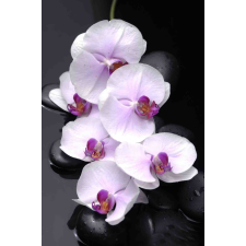  Falikép Fehér orchideák kövekkel, 400 x 250 cm tapéta, díszléc és más dekoráció