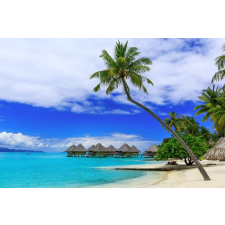  Falikép Nyaralás nyaralóknál, 300 x 250 cm tapéta, díszléc és más dekoráció