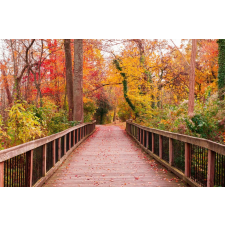  Falmatrica Híd őszi erdőben, 250 x 200 cm tapéta, díszléc és más dekoráció