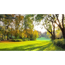  Falmatrica Ősz a parkban, 250 x 150 cm tapéta, díszléc és más dekoráció