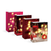 Family Ajándéktasak - 10 melegfehér LED, papír - 265 x 127 x 330 mm - 4 féle / csomag / 12 db / csomag