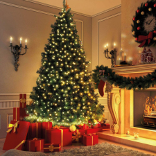 Family Fényfüzér - 50 db LED - melegfehér - hálózati - 5 m - 8 program karácsonyfa izzósor