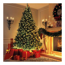 Family Fényfüzér - 50 db LED - melegfehér - hálózati - 5 m - 8 program karácsonyfa izzósor