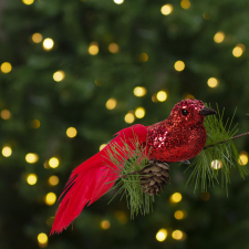 Family Karácsonyi dísz csipeszes madár piros 2 db karácsonyfadísz