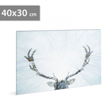 Family LED-es fali hangulatkép - rénszarvas -  2 x AA, 40 x 30 cm karácsonyfa izzósor