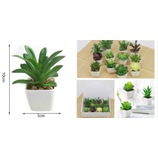  Family művirág cserepes pozsgás 10x5cm 12f. kerti tárolás