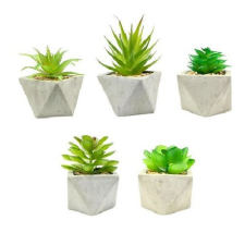  Family virág dekor kaspóban 5x9cm 5f. kerti tárolás