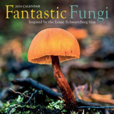  Fantastic Fungi Wall Calendar 2024 – Louie Schwartzberg naptár, kalendárium