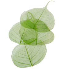  Fátyol levél söt.zöld 100db-os dekorációs kellék